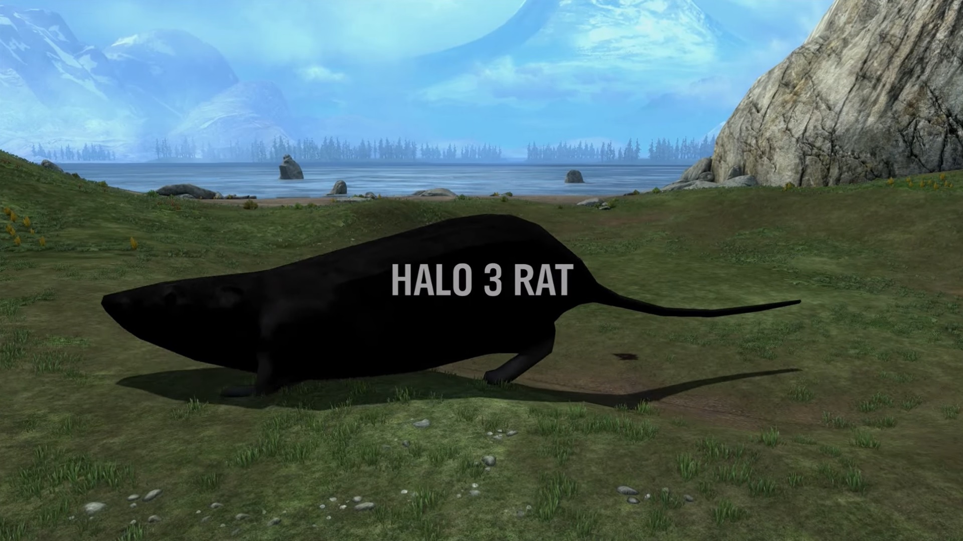 Halo: Reach rat boss fight mod