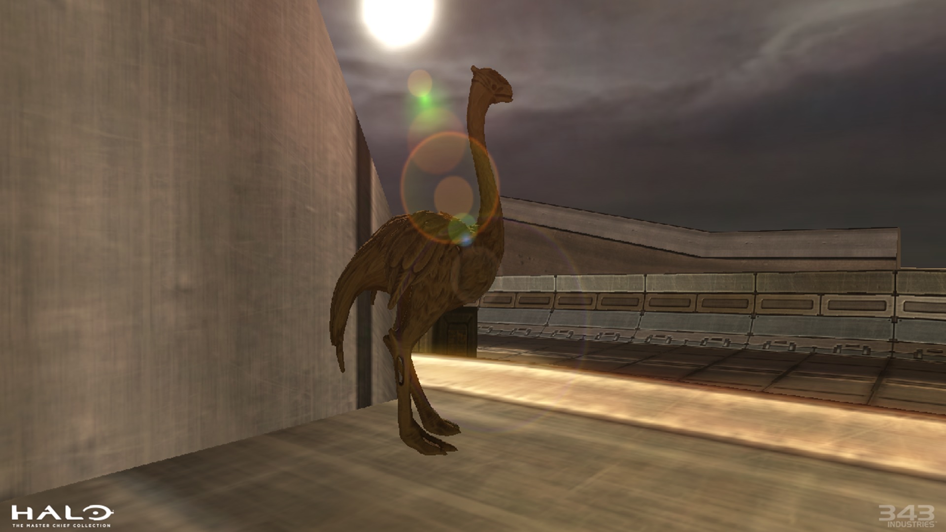 Halo 2 Classic screenshot of a golden moa