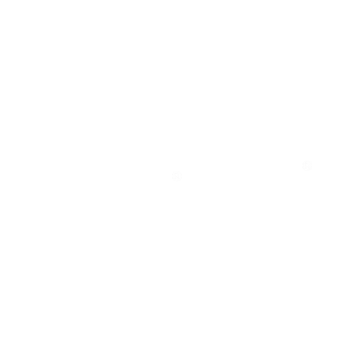 Steam®
