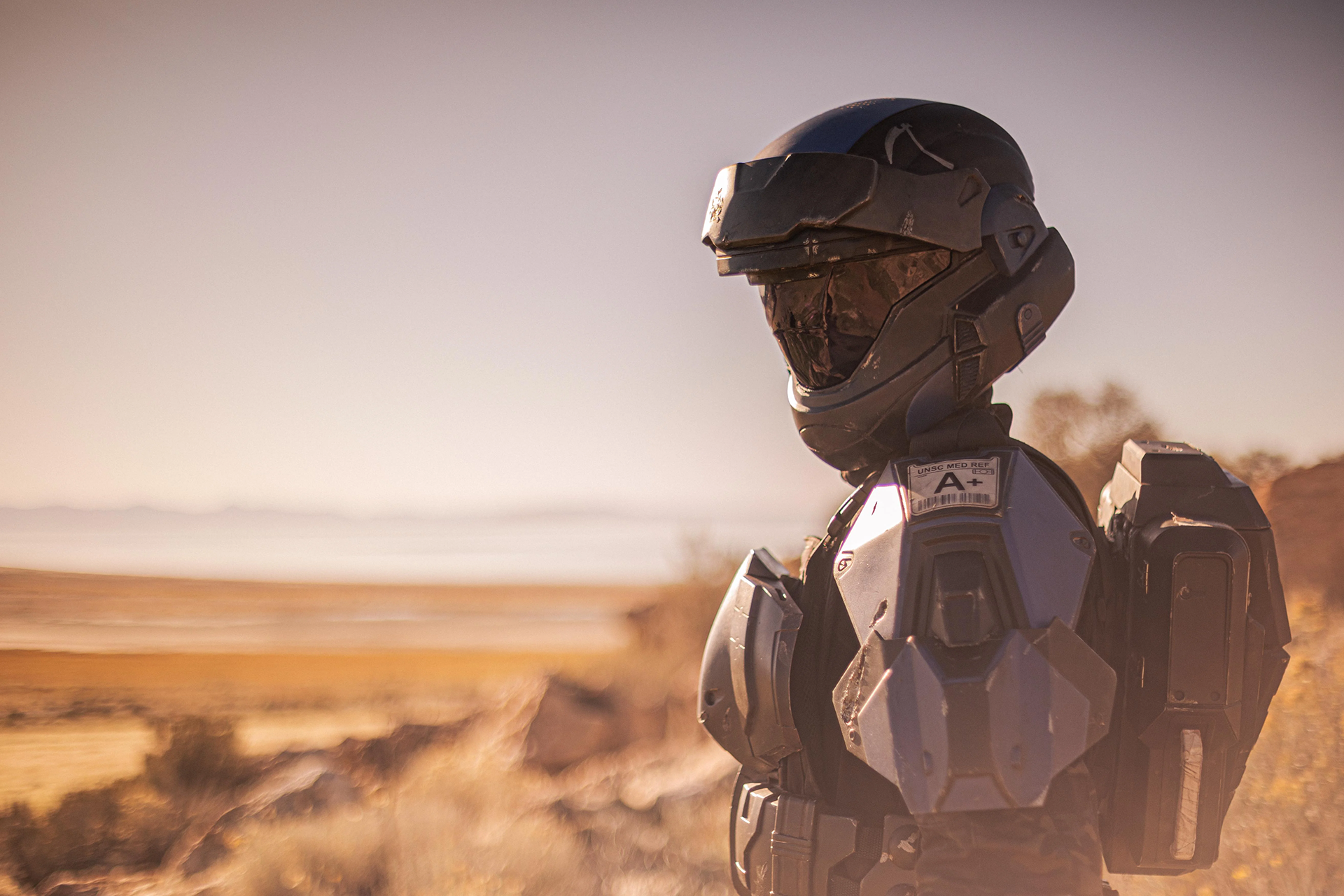 An O D S T cosplay on a desert vista.